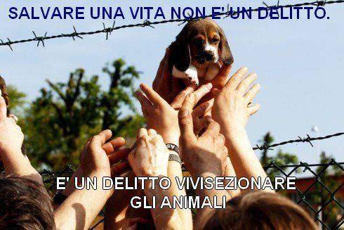 Immagine di copertina per il post