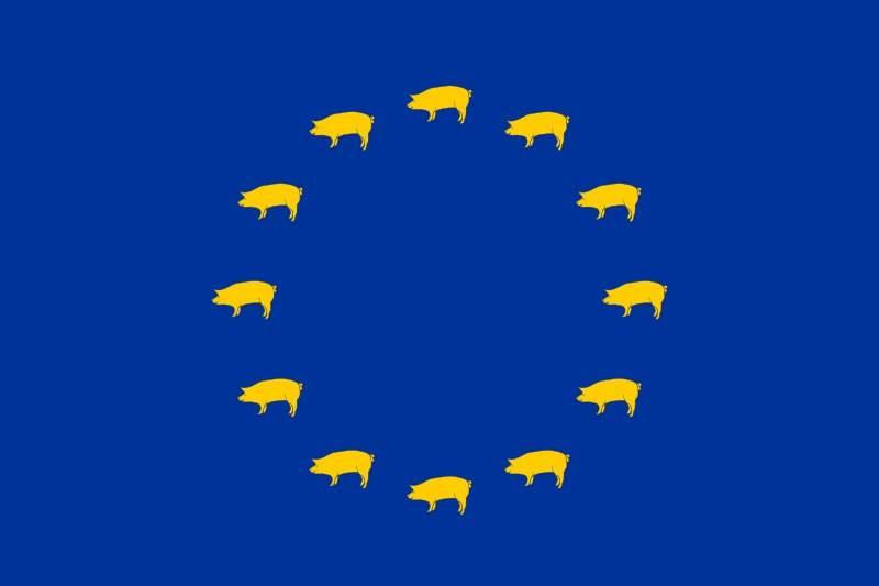 Immagine di copertina per il post
