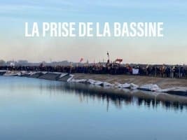 Immagine di copertina per il post