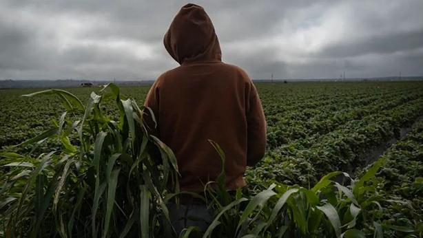 Immagine di copertina per il post