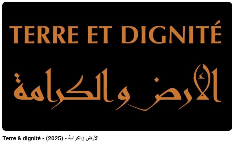 Immagine di copertina per il post