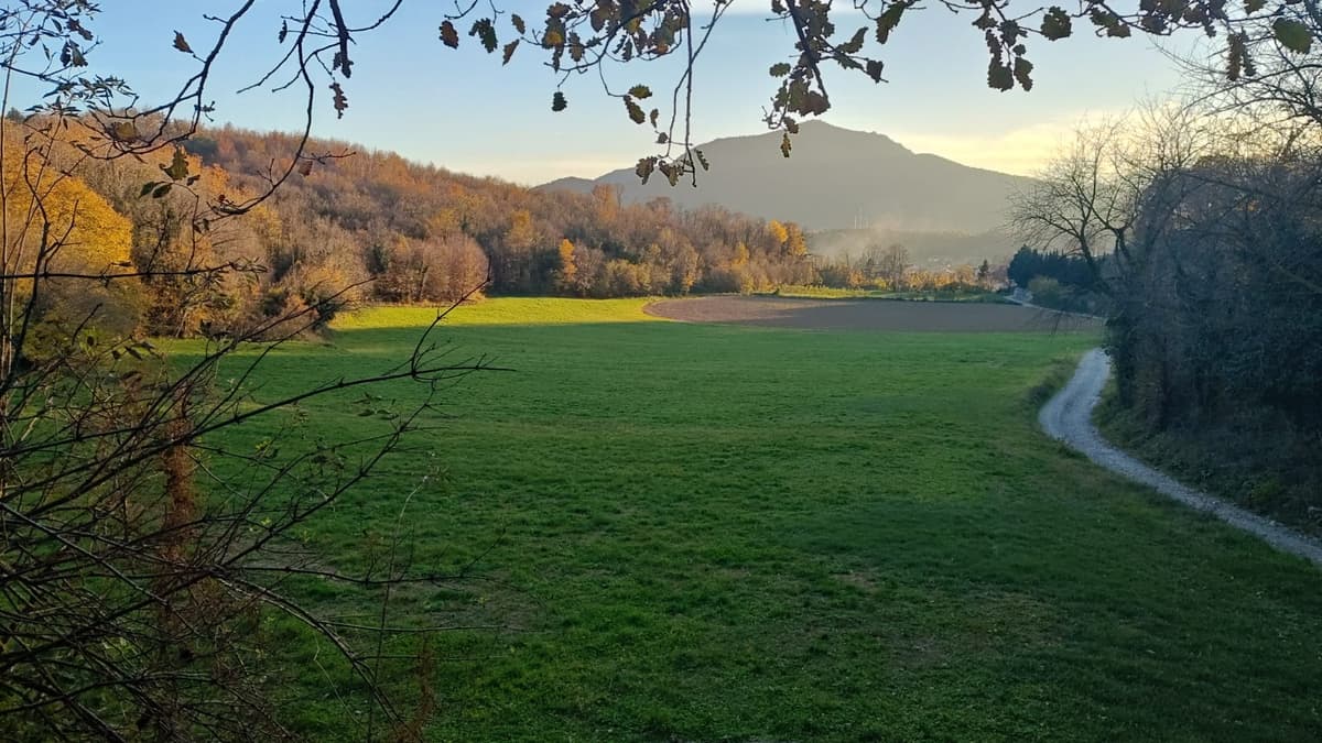 Immagine di copertina per il post