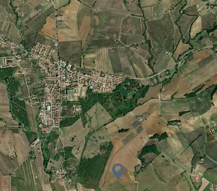 Immagine di copertina per il post