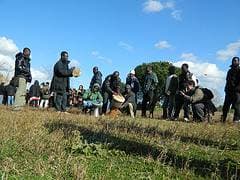 Immagine di copertina per il post