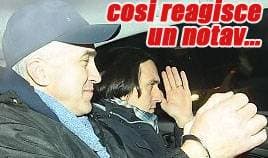 Immagine di copertina per il post