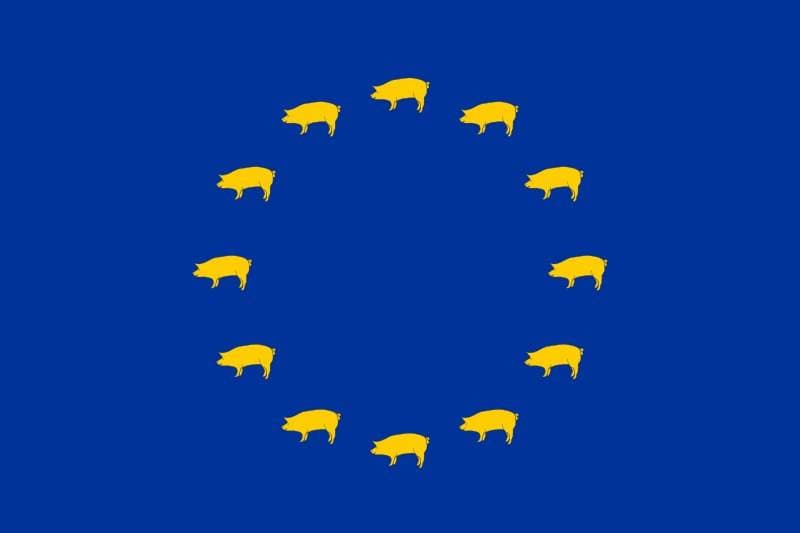 Immagine di copertina per il post