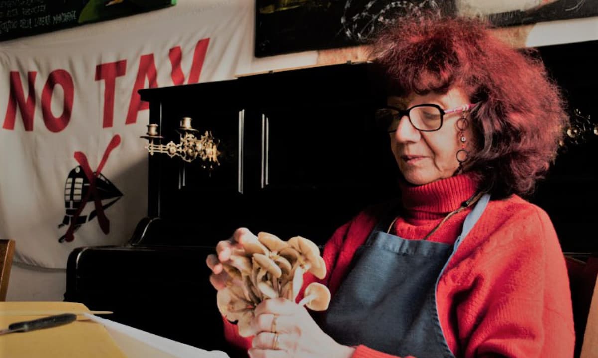 Immagine di copertina per il post