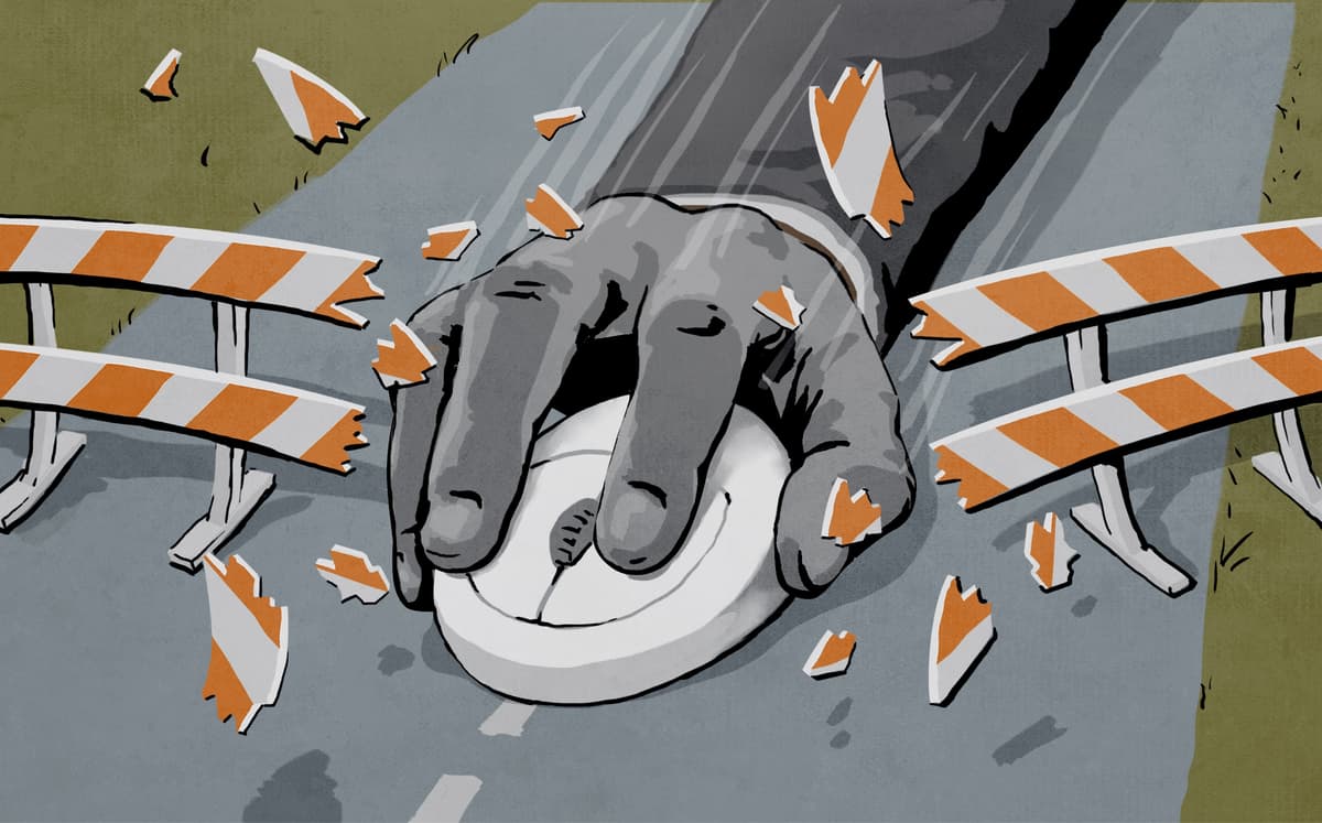 Immagine di copertina per il post