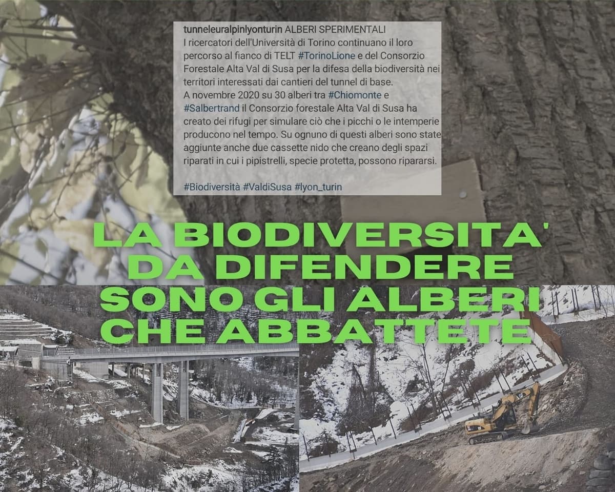 Immagine di copertina per il post