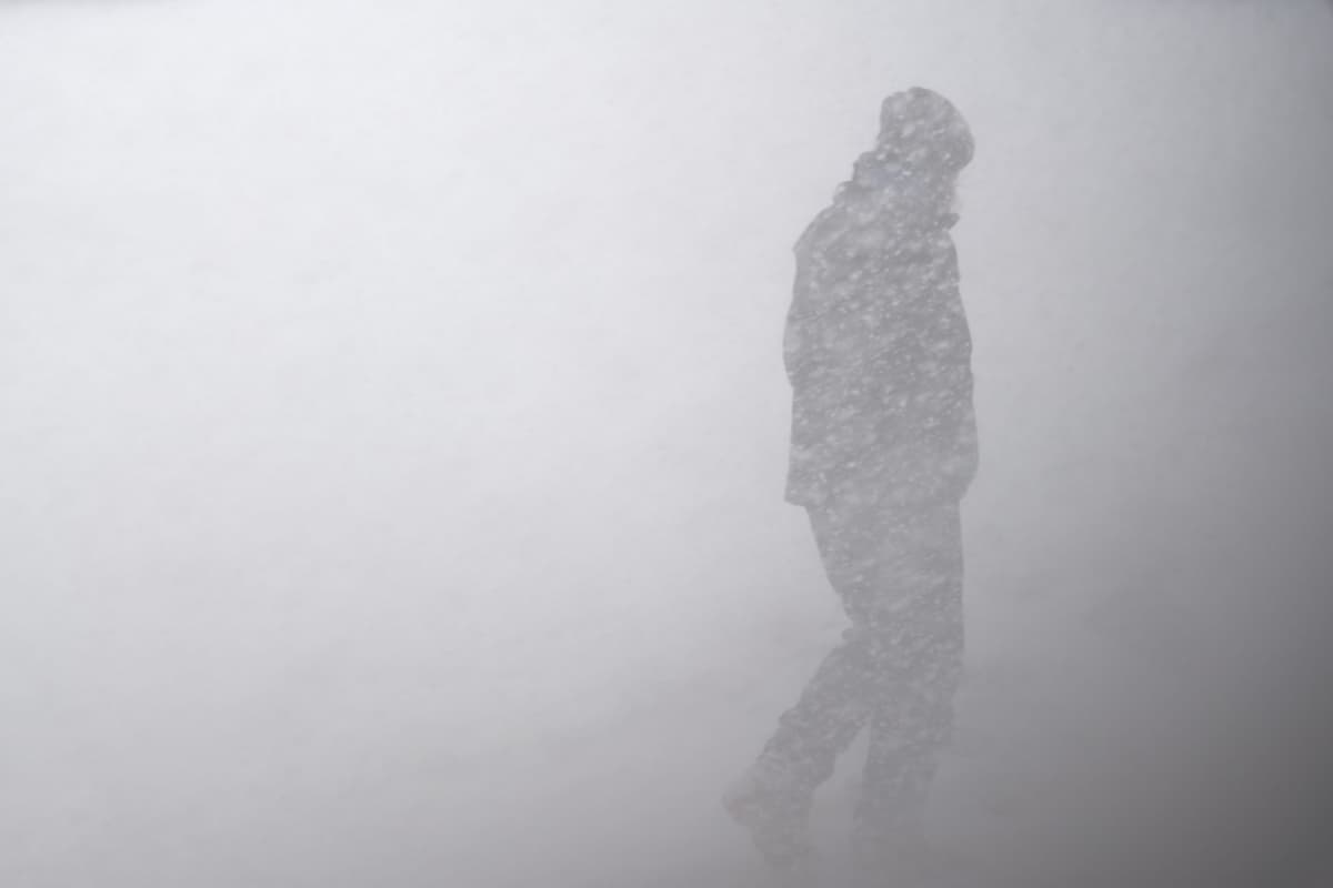 Immagine di copertina per il post