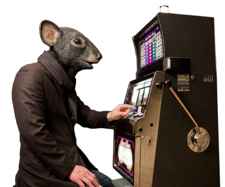 Immagine di copertina per il post