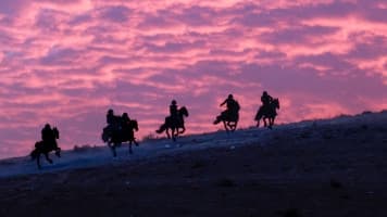 Immagine di copertina per il post