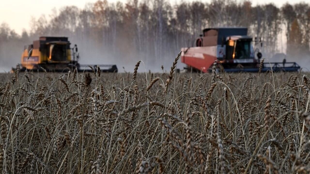 Immagine di copertina per il post