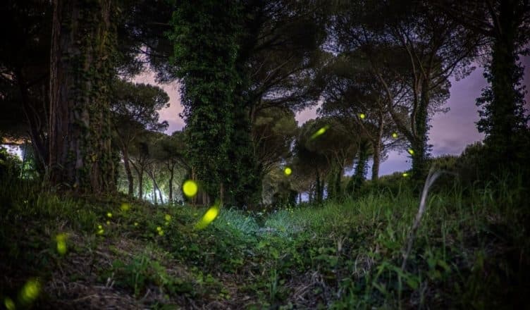 Immagine di copertina per il post