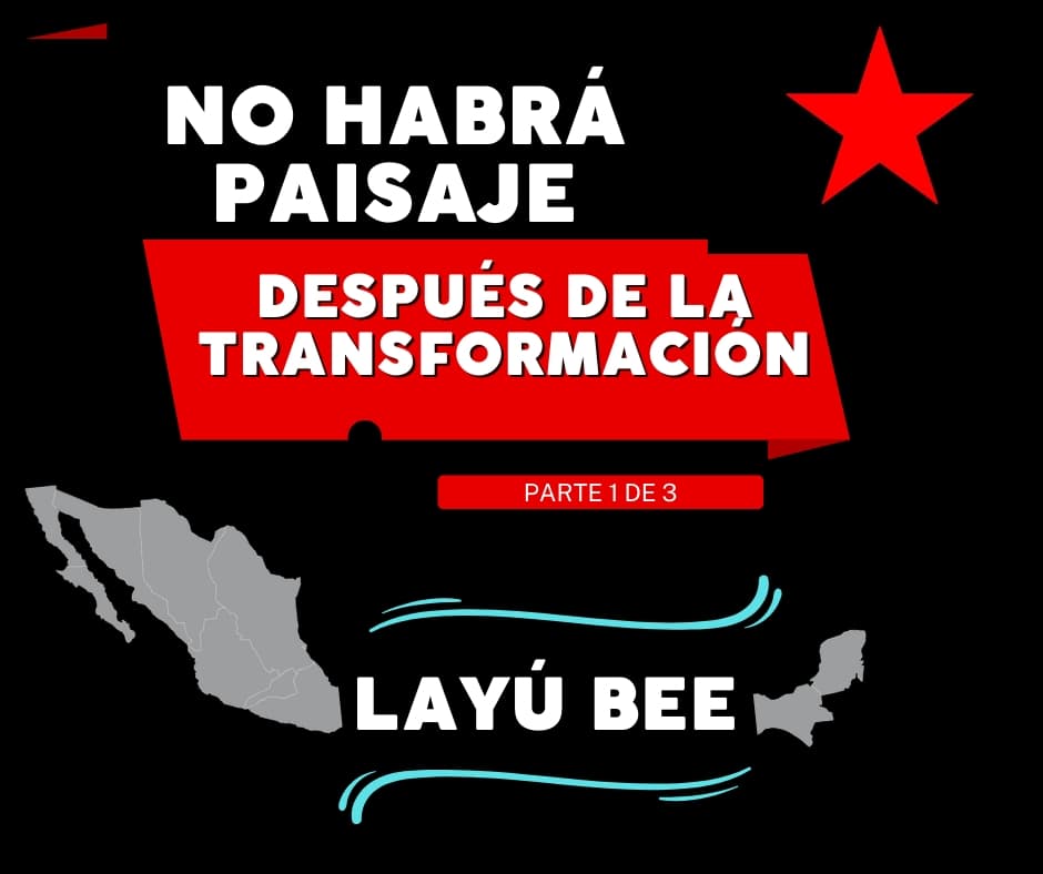 Immagine di copertina per il post