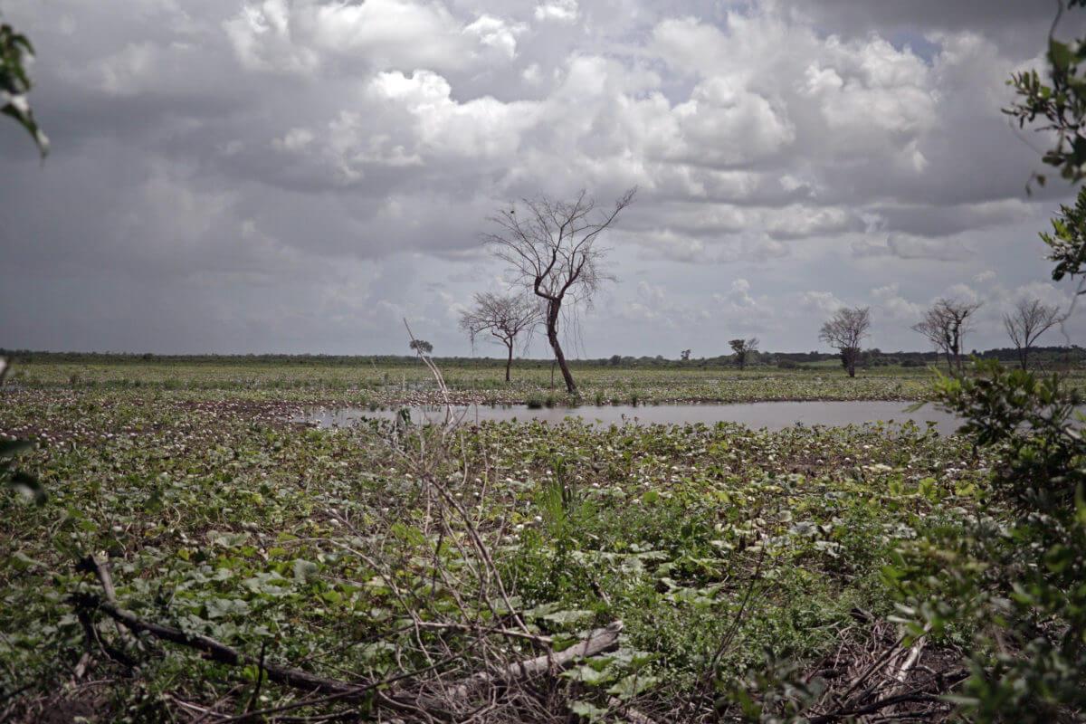 Immagine di copertina per il post