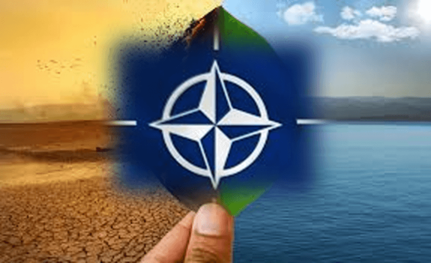 Immagine di copertina per il post
