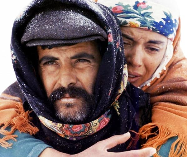 Immagine di copertina per il post