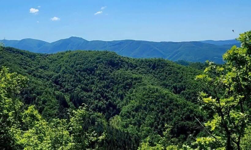 Immagine di copertina per il post