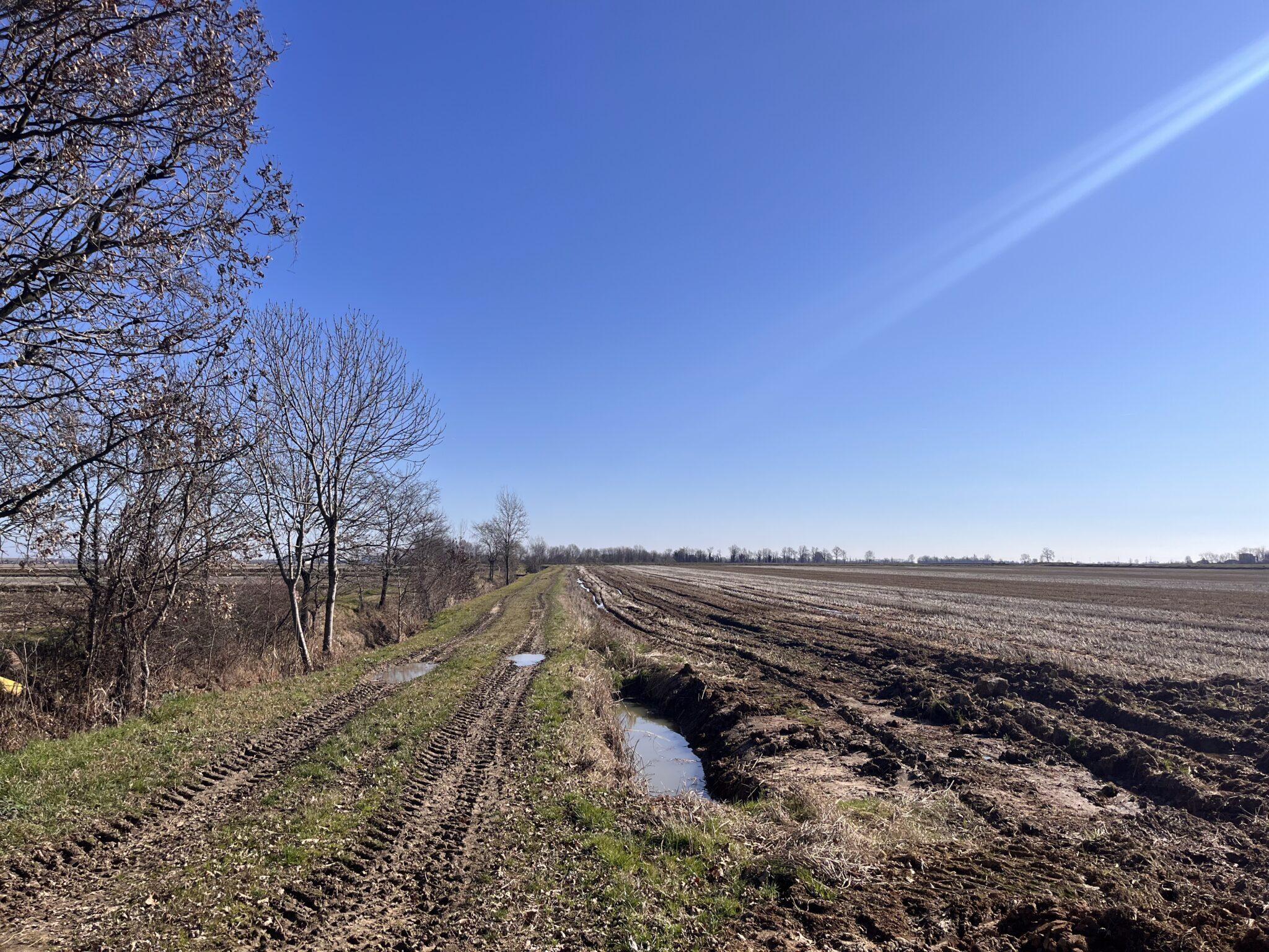 Immagine di copertina per il post