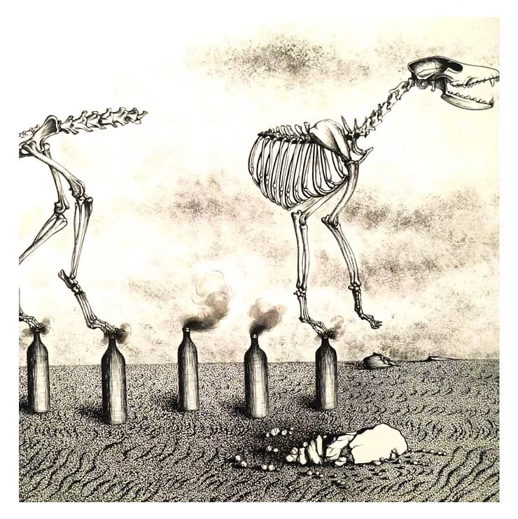 Immagine di copertina per il post