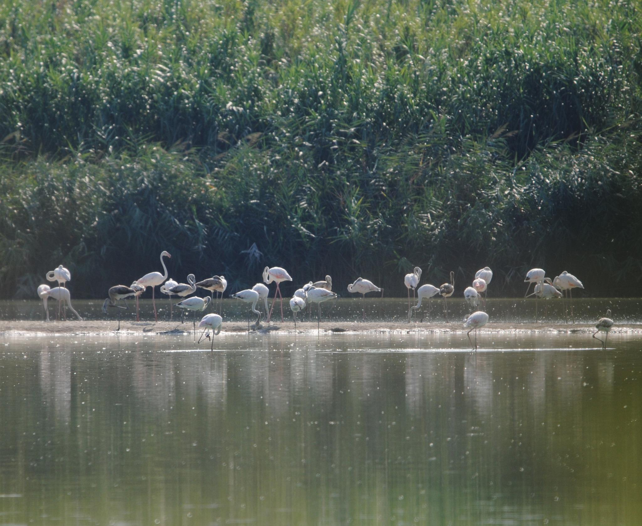 Immagine di copertina per il post