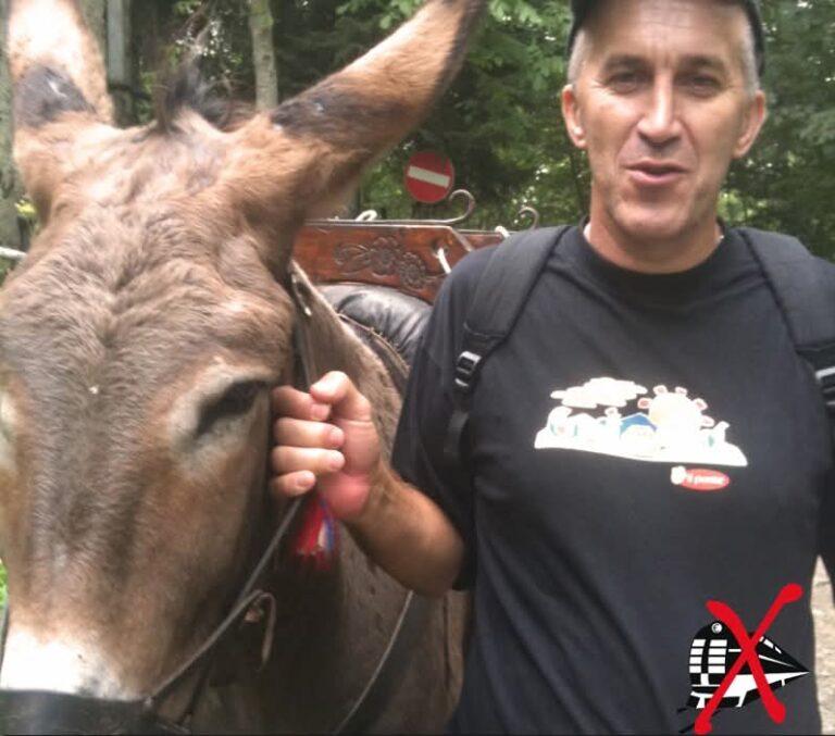 Immagine di copertina per il post