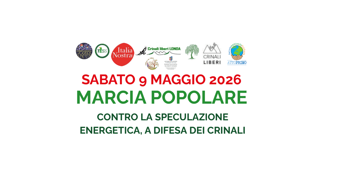 Immagine di copertina per il post