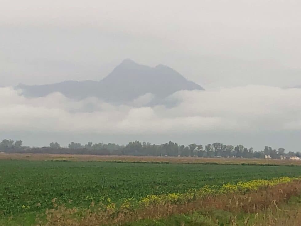 Immagine di copertina per il post