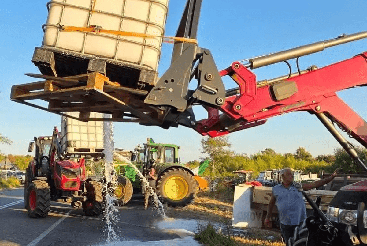 Immagine di copertina per il post